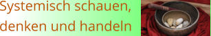 Systemisch schauen, denken und handeln