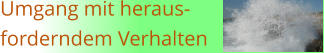 Umgang mit heraus-forderndem Verhalten